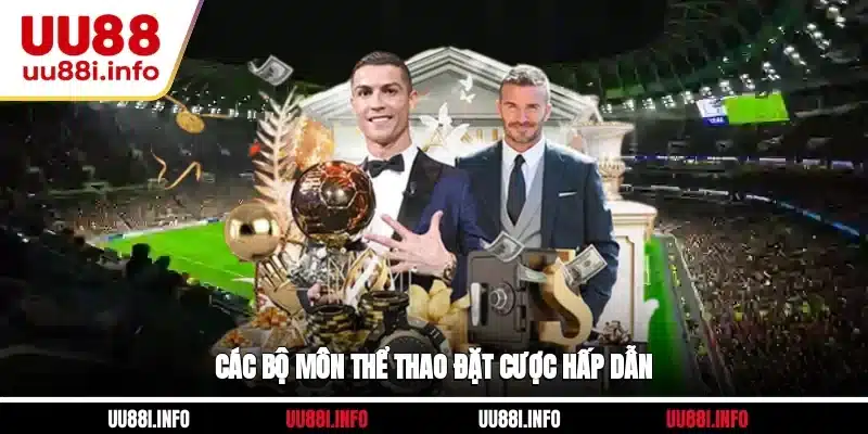 Các bộ môn Thể thao đặt cược hấp dẫn